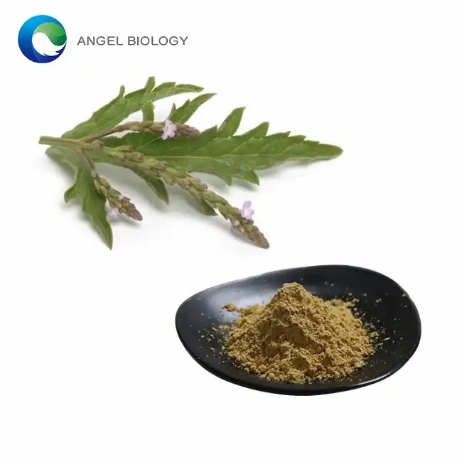 Verbena Extract Powder